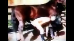 Black dirty girl sucking free horse sex cum