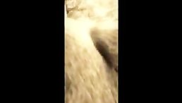 Amateur POV fucking horse