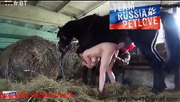 Hot Lady Trying Has Sex With Horse on stable
