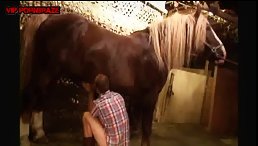 Beast Horse Sex Hard With White Girl