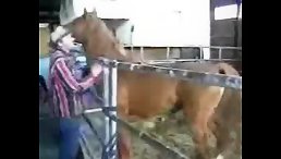 Dirty gay loves anal sex with horse porn