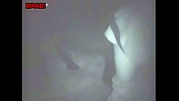 Play with dog on cam