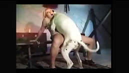 Woman Dog Porn