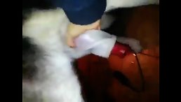 Long Cock of my dog