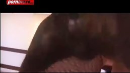 Young Woman Fucks A Dog