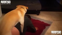 Animal sex compilation xxx