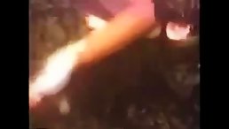 Curly black dog licking her cunt - Animal xxx videos