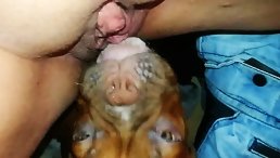 My little friend