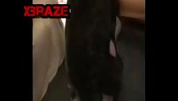 Lucky Dog Party Sex With Beautifull Ass