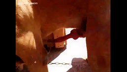 Smarty Dog Has Sex Free Girl