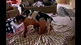 Amateur Dog Sex girl