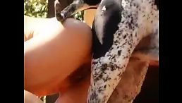 Amazing dog fuck hard sex free