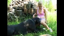 animal and girls fucking public