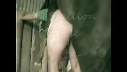 illness Human Fucking horse