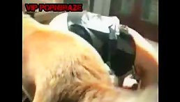 Good dog is fucking hostess at home