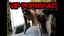 dog porn girl