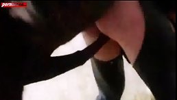 Dog Fucking Ass