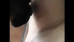 Dog licking her wet pussy - Sex animal