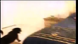 Sexy Blonde Girl Fucked By Smaty Dog