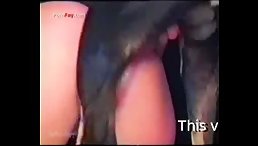 Curly Girl Has sex with dog public