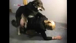 Deep And Orgams When dog fuck girl