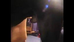 Crazy Dog sex with girl