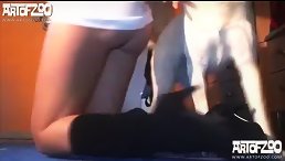 She Show pussy for dog fuck