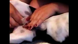 Big ass woman sucking tiny dog's cock