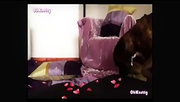 Dog sex with blonde bitch - Zoo sex videos