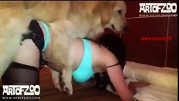 POV fucking dog sex hardcore