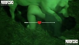 Cam sex dog