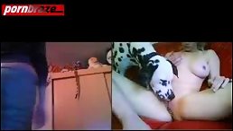 Dog Like Lick Pussy Woman