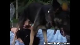 Enjoy sex trip with dog - Dog porn