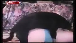 Hot Hot  - Dog fucking ass babe girl