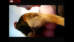 sex with animal