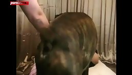 Cute Teen Show Hot Ass when Sex with dog