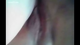 Litte Dog Licking Fat Pussy