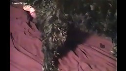Alaska Dog Fucking Mistress