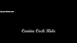 Hot teen Want Solo Fucking Animal