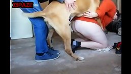 Bad dog rape Naughty girl