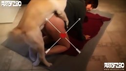 So hot Human Fuck Dog