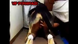 school girl fucking by dog