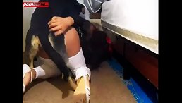 Black Dog Orgams When Sex girl