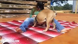 Fucking hard dog sex