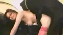 Animal Fucking Girl