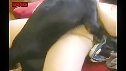 Big Fat Mature sex Dog at home