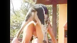 Dog fuck girl orgy outdoor