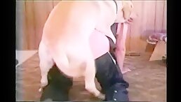 Mature Babe Has sex Dog - dog sex