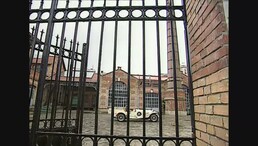 Digging free nice wet pussies