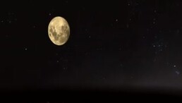 Thumb 6